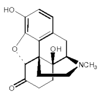 羥嗎啡酮