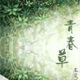 青春草 青春草