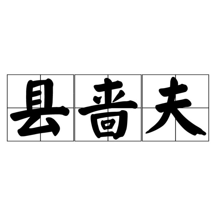 縣嗇夫 縣嗇夫