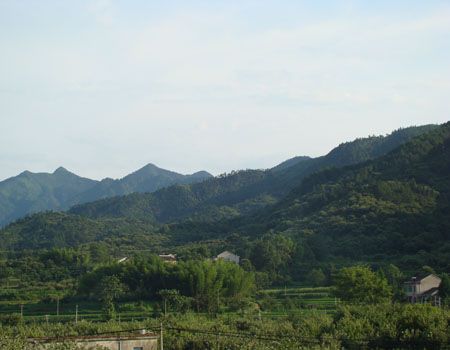 城沖村 城沖村