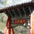 葉圭書 葉圭書