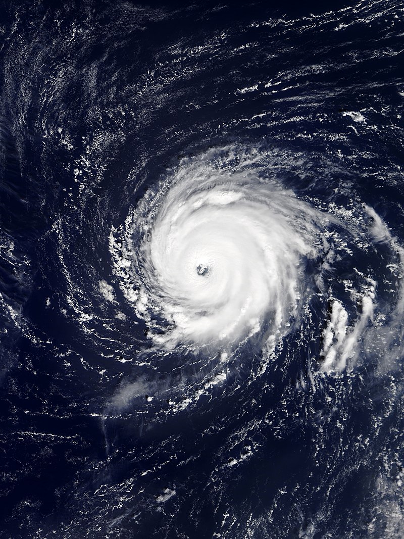 颶風李 衛星雲圖