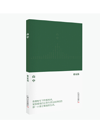 山中(2023年上海文藝出版社出版的圖書) 山中(2023年上海文藝出版社出版的圖書)