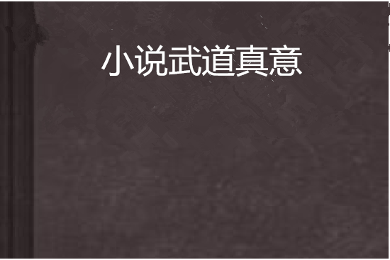 小說武道真意 小說武道真意