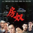 房子(2009年張曉光執導電視劇) 房子(2009年張曉光執導電視劇)