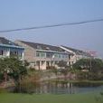 西苑村(浙江省杭州市塘棲鎮下轄村) 西苑村(浙江省杭州市塘棲鎮下轄村)