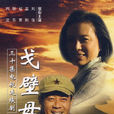 戈壁母親(2007電視劇) 戈壁母親(2007電視劇)