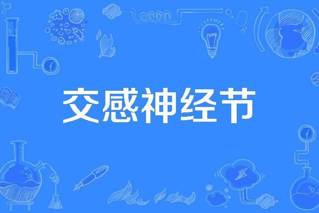 交感神經節 交感神經節