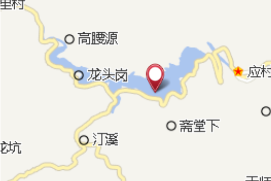 小金竹 小金竹