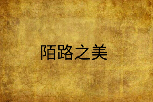 陌路之美 陌路之美