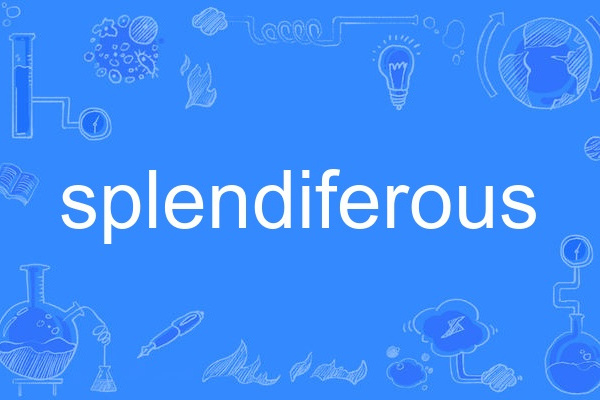 splendiferous splendiferous