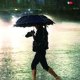 風裡雨里(詞語釋義) 風裡雨里(詞語釋義)