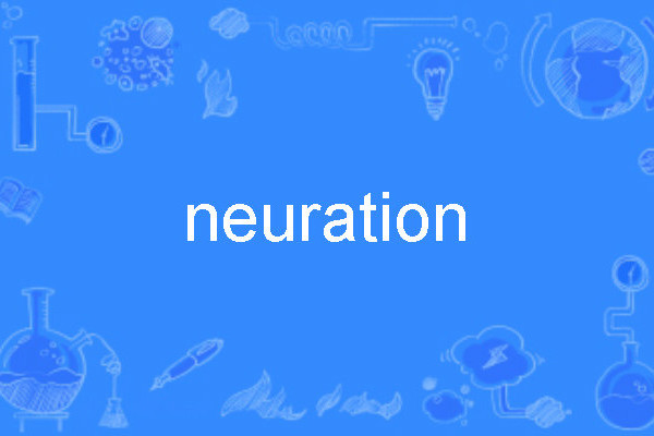 neuration neuration