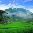 九崗山 九崗山