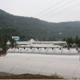 雙城村(甘肅省臨夏回族自治州臨夏縣雙城村) 雙城村(甘肅省臨夏回族自治州臨夏縣雙城村)