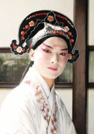 牡丹亭(白先勇策劃、2004年首演青春版牡丹亭)