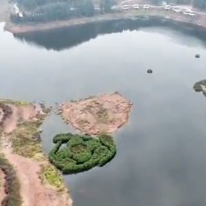 蟠龍河水庫 蟠龍河水庫