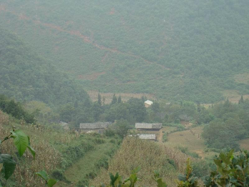 豆渣坪村 豆渣坪村