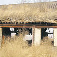 鞍山普寧寺 鞍山普寧寺
