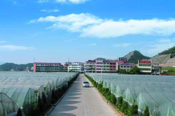 蔣才文村 蔣才文村