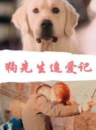 趙夢姝 趙夢姝