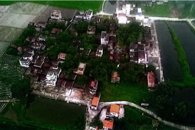 向東村(廣東省江門市開平市赤坎鎮塘聯行政村下轄自然村)