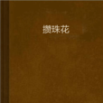 攢珠花 攢珠花