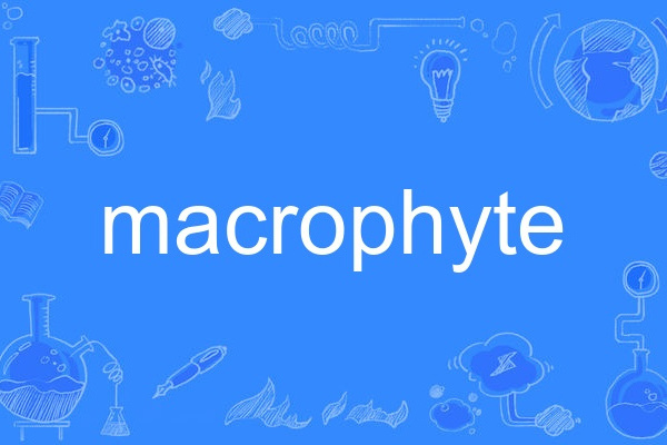 macrophyte macrophyte