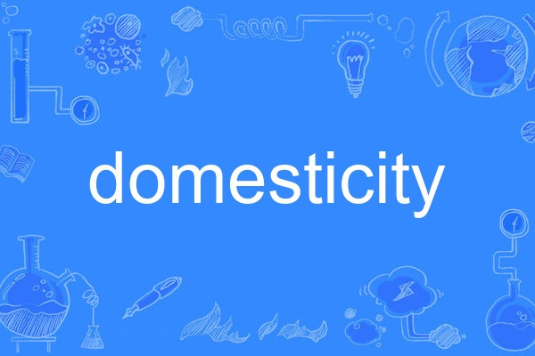 domesticity domesticity