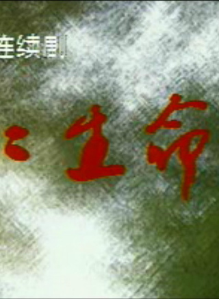 左翎 左翎