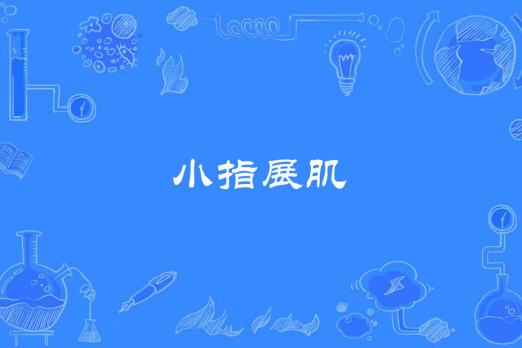小指展肌 小指展肌