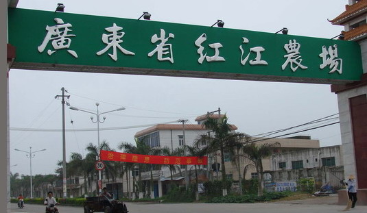 廣東省紅江農場牌坊