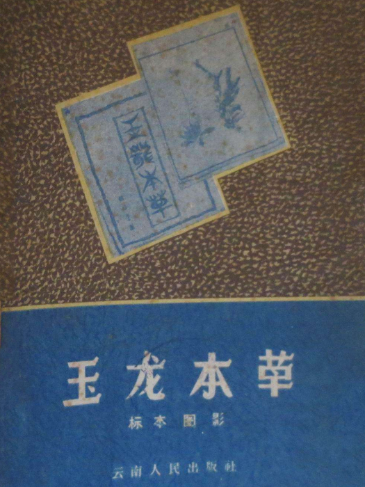 玉龍本草