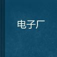 電子廠 電子廠