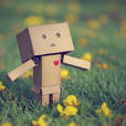 Danbo Danbo