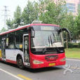 西安公交308路 西安公交308路
