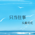 只當往事 只當往事