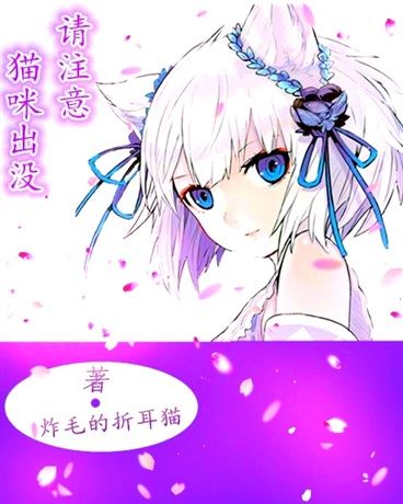 小心貓咪 小心貓咪