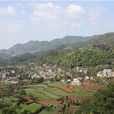 樂峰村 樂峰村