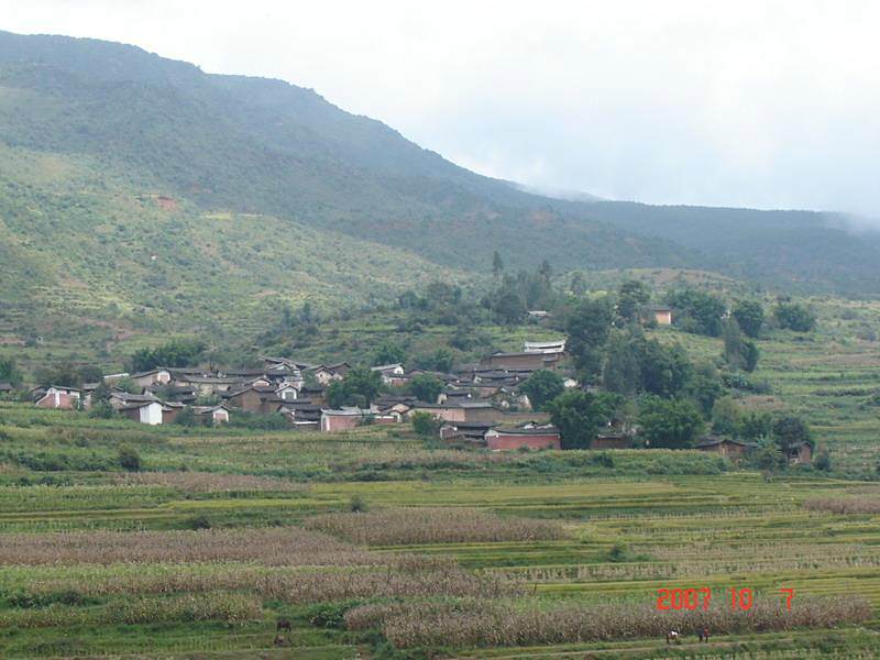 燈桿坪村