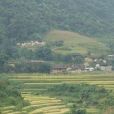 桂村 桂村
