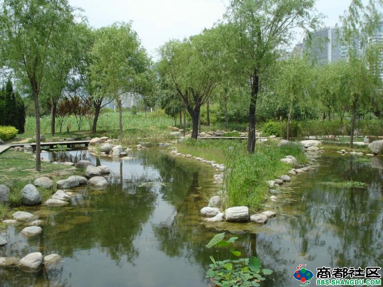 鄭州濕地公園