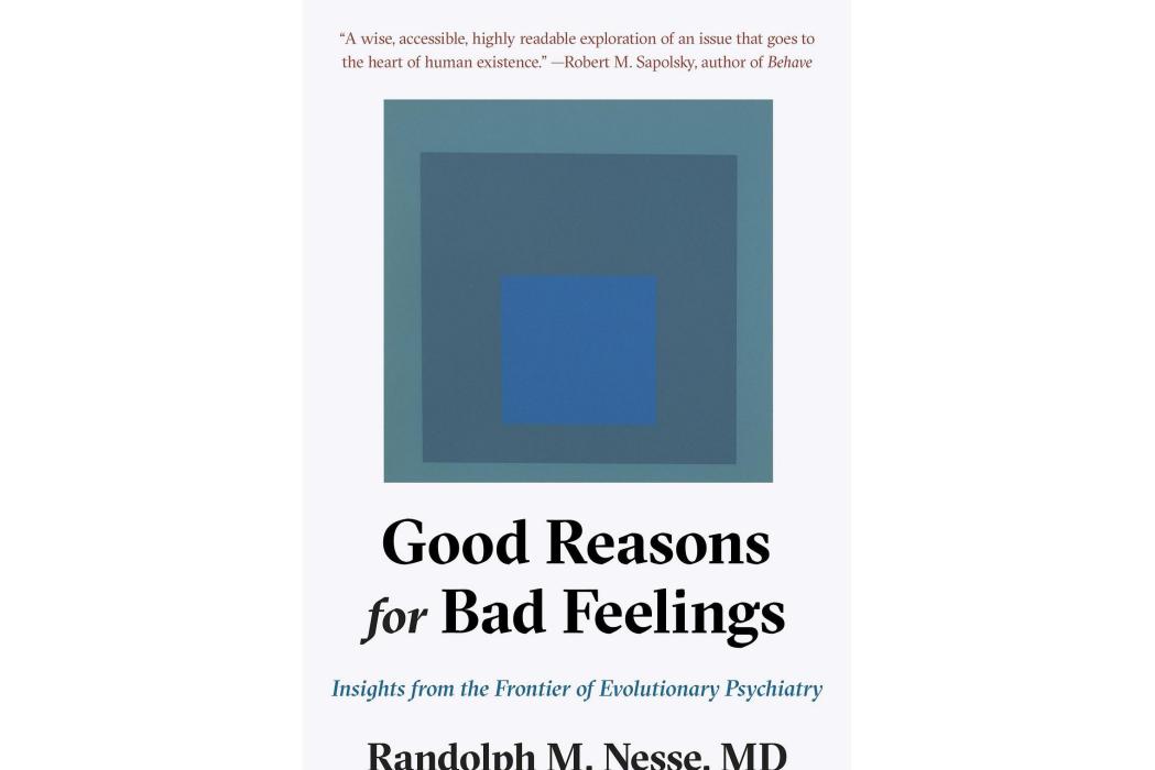 Good Reasons for Bad Feelings Good Reasons for Bad Feelings
