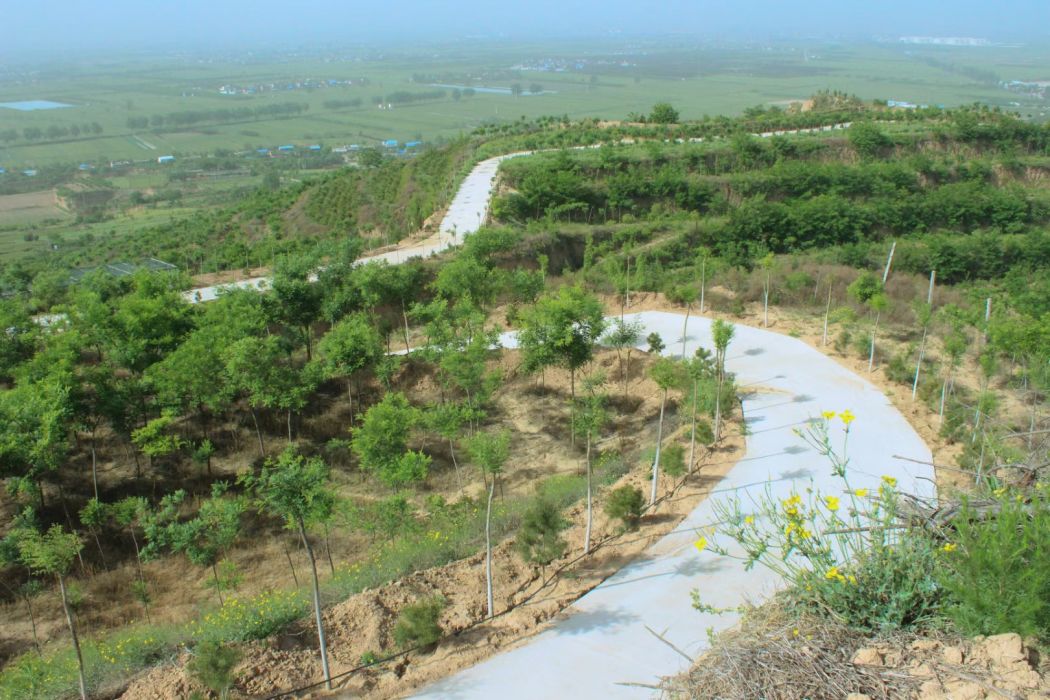 苟家村(陝西省鹹陽市三原縣大程鎮下轄村) 苟家村(陝西省鹹陽市三原縣大程鎮下轄村)