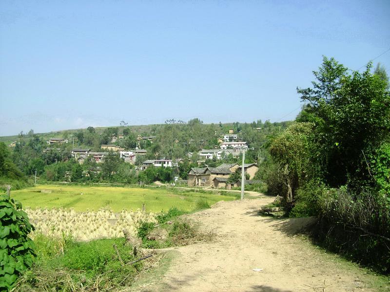 稻田沖村(雲南姚安縣光祿鎮下轄村) 稻田沖村(雲南姚安縣光祿鎮下轄村)