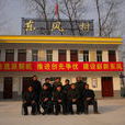 東風村(安徽省合肥市廬江縣羅河鎮下轄村) 東風村(安徽省合肥市廬江縣羅河鎮下轄村)