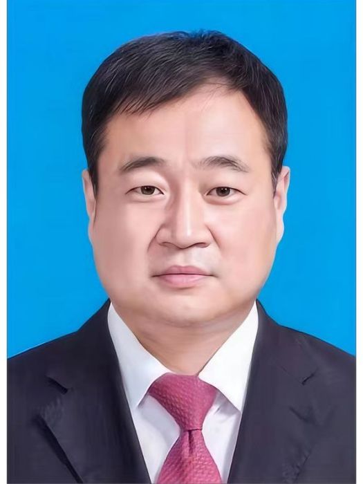 王彥濤(河南省長垣市副市長、南蒲街道黨工委書記) 王彥濤(河南省長垣市副市長、南蒲街道黨工委書記)