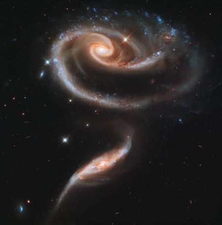 arp 273(阿普273) arp 273(阿普273)