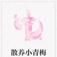 散養小青梅 散養小青梅