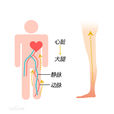 瘦腿襪